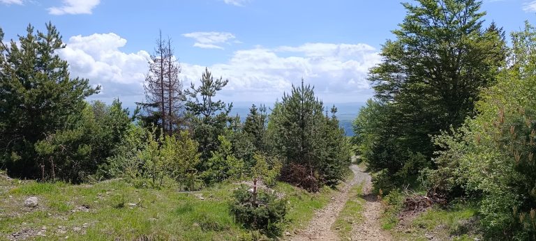 gradjevinski placevi na goliji 05