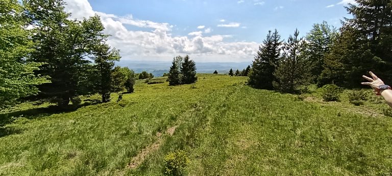 gradjevinski placevi na goliji 10