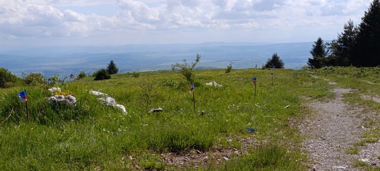 gradjevinski placevi na goliji 14