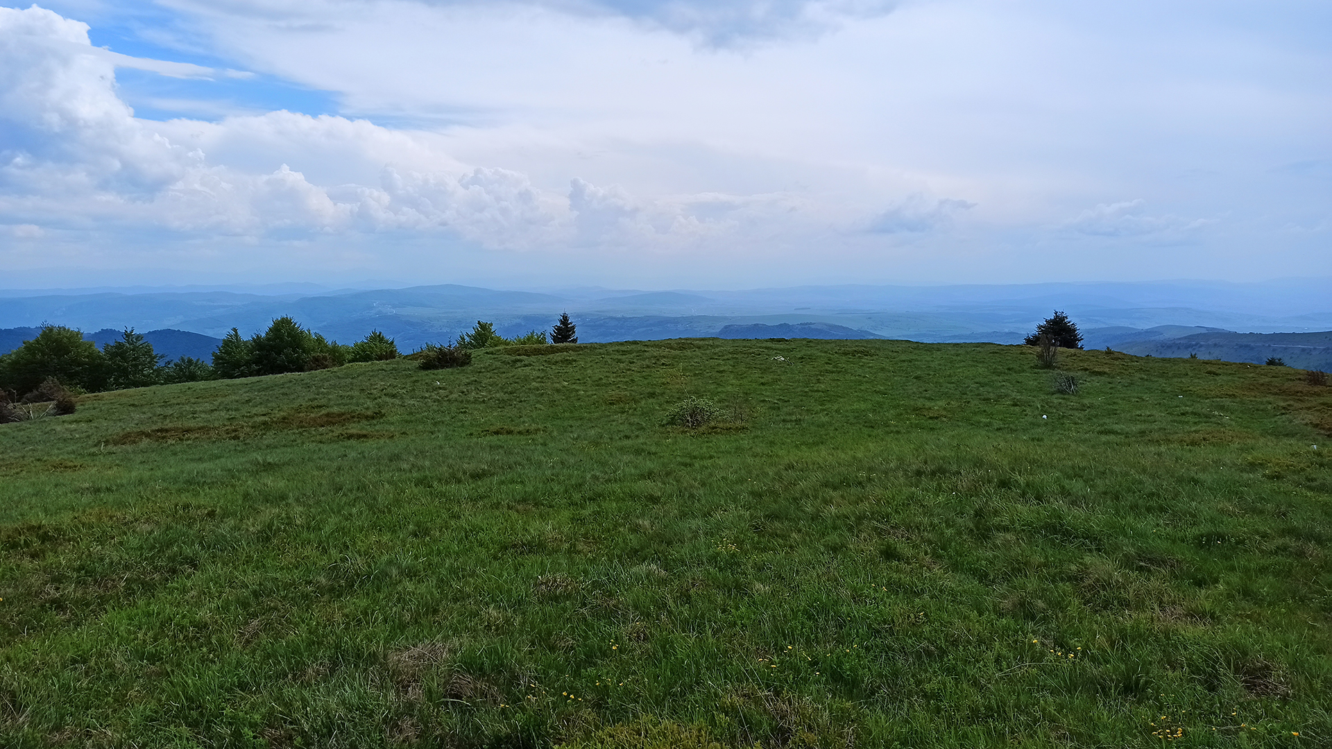 O Goliji | Planina Golija i Jankov kamen 2 o goliji livade