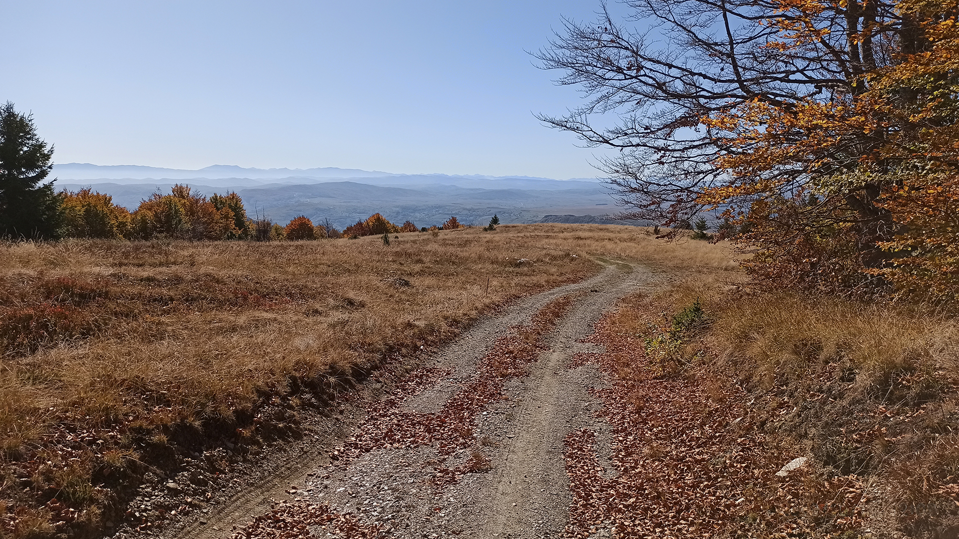O Goliji | Planina Golija i Jankov kamen 4 o goliji pogled