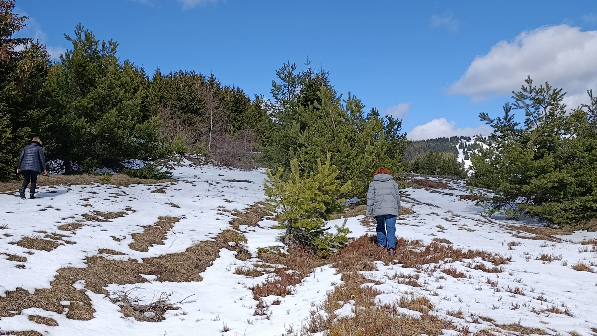 O Goliji | Planina Golija i Jankov kamen 5 o goliji ritam