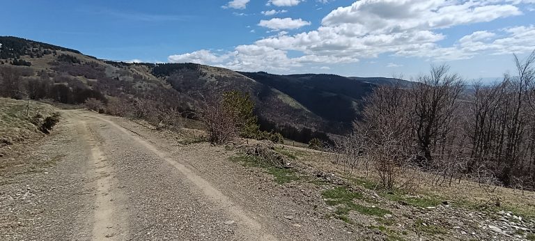 placevi na goliji putevi 02
